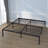 Lequetta Metal Platform Bed-179668786