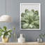 «Succulent Cactus Close Up Southwest Green Lily Pad» sur papier-98266145-98266146