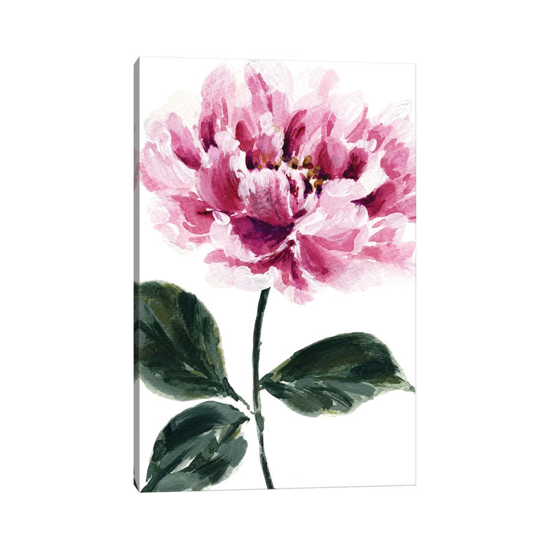 Peony No. 2 1 Piece Wrapped Canvas Painting, 30.48 cm H x 45.72 cm W