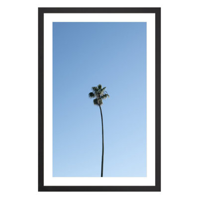 Plants & Flowers Print