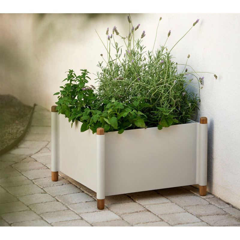 Sticks Planter, Sand