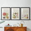 Hoefnagel, spéculations tropicales - impression encadrée sur mesure de qualité supérieure mate - 3 pièces-1784065047-1784065045