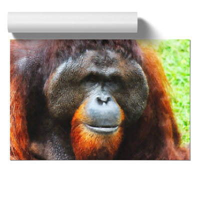 Orangutan Monkey Painting - Frameless Print