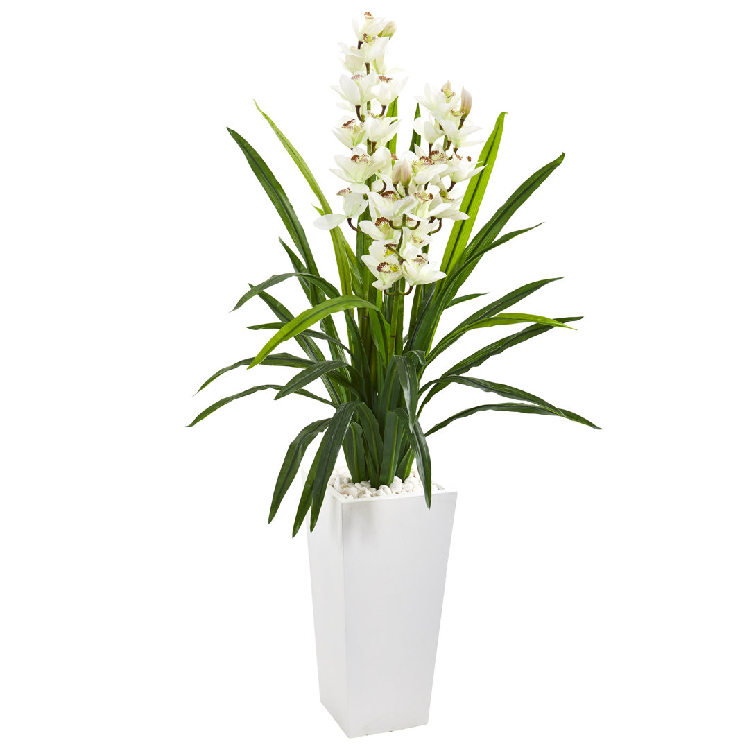 Orchid Arrangement in Planter Orren Ellis