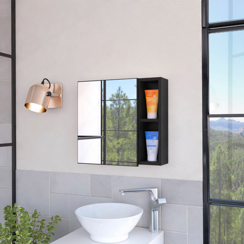 Armoire à pharmacie à 2 tablettes avec miroir wengé, Wengé