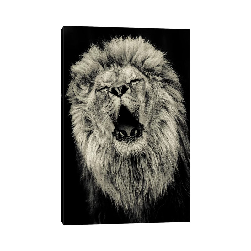 Lion IV by Goran Anastasovski - Wrapped Canvas Print, 30.48 cm H x 45.72 cm W