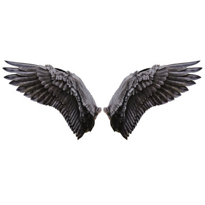 Natural Plumage Wing - Wrapped Canvas Print