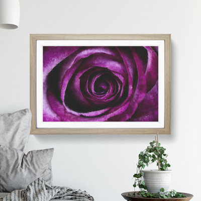 Purple Rose Flower Vol.2 - Framed Print
