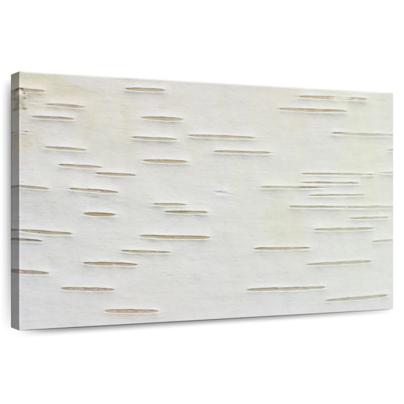 Avery Birch Tree White Bark