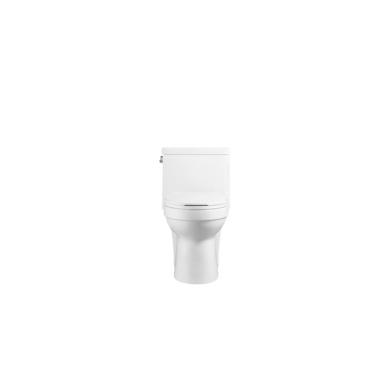 Toilette allongée à fixation au sol 1,5 gallons par minute GPV ETVIN (siège inclus) Andvin