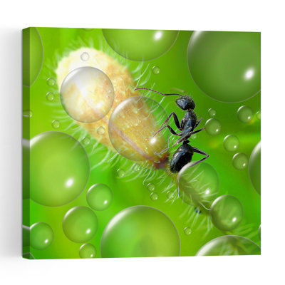 Ant And Green Drops Delicate Vibrant Abstract Ant Nature Plant Wall Art Print by Thierry Dufour - Print