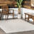 Catharine Indoor / Outdoor Rug-725818580