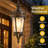 1- Light Outdoor Hanging Lantern