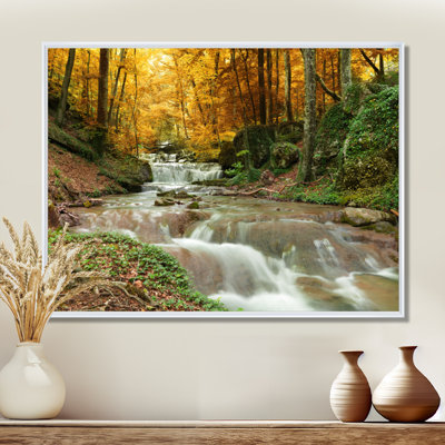 Forêt, cascade, arbres jaunes - reproduction de photo