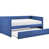 Bleu est en rupture de stock