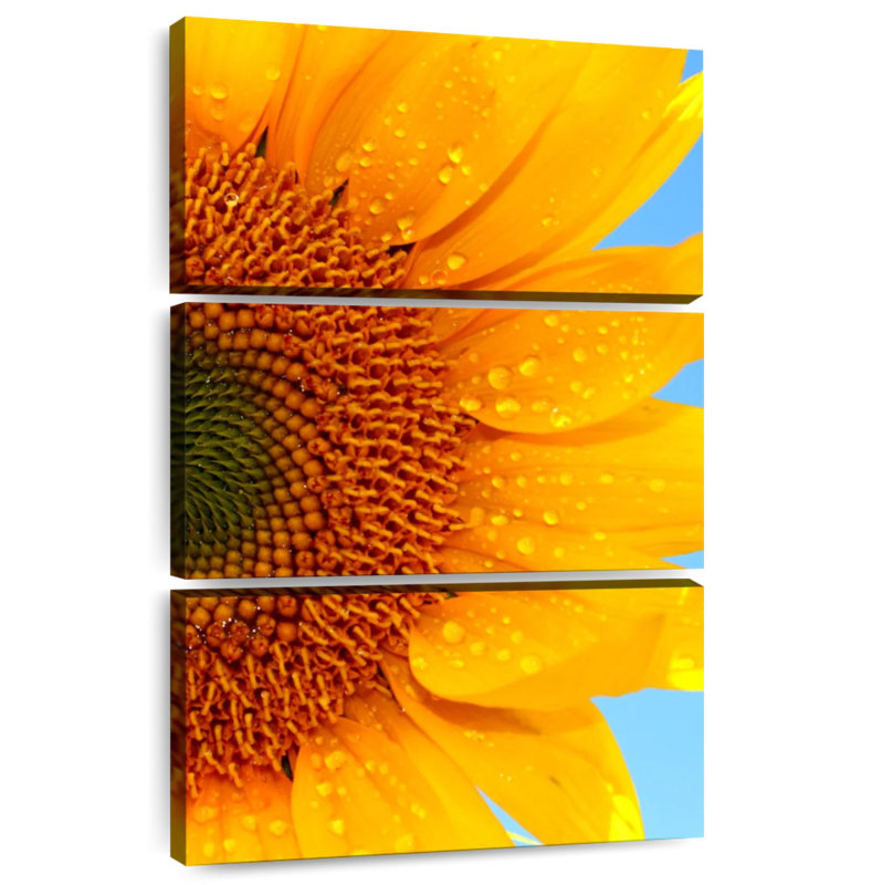 Harnek Fresh Sunflower, 57" H x 36" W