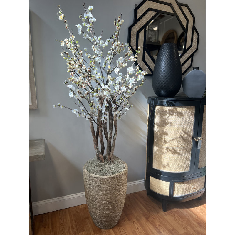 White Cherry Blossom Tree in Tan Pot, 73" H x 32" W x 32" D