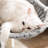 Mccusker 64.6'' H Cat Tree-910150017