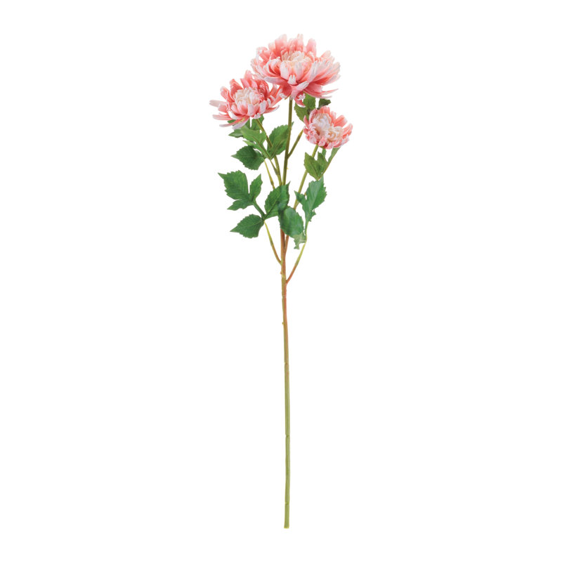 Mum floral, Rose