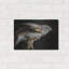 «Watchful» par Joh Naito-1009342585