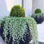 Pot de fleurs Dorlis Fiberstone-795267172-795267169