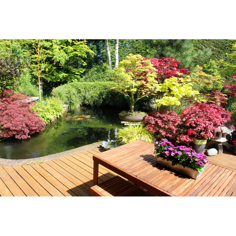 Jardin japonais par Mtreasure, H 32 po x l 48 po
