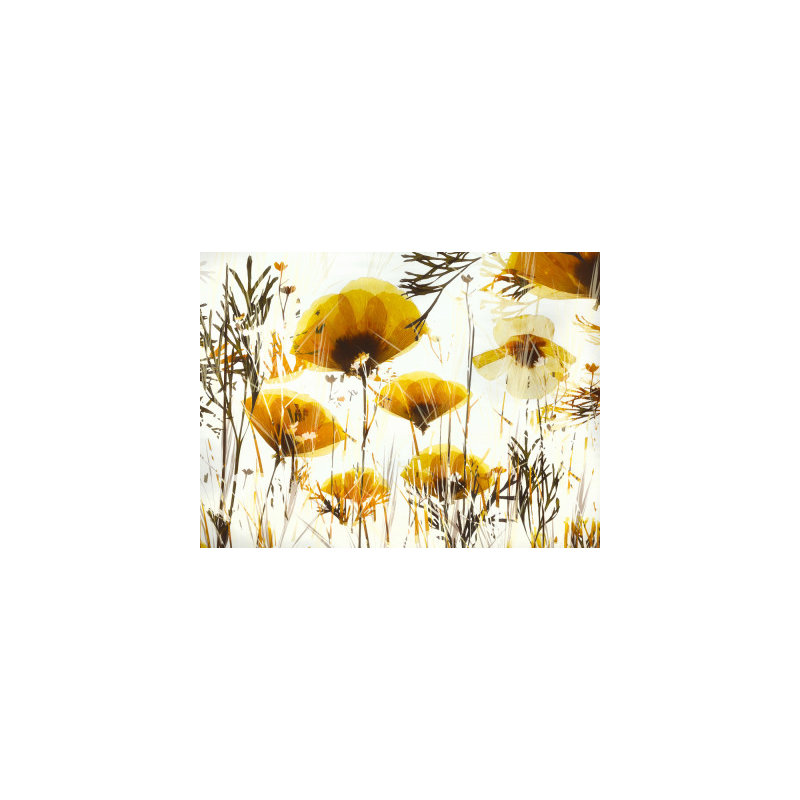 Wrapped Canvas Print, 50.8 cm H x 76.2 cm W
