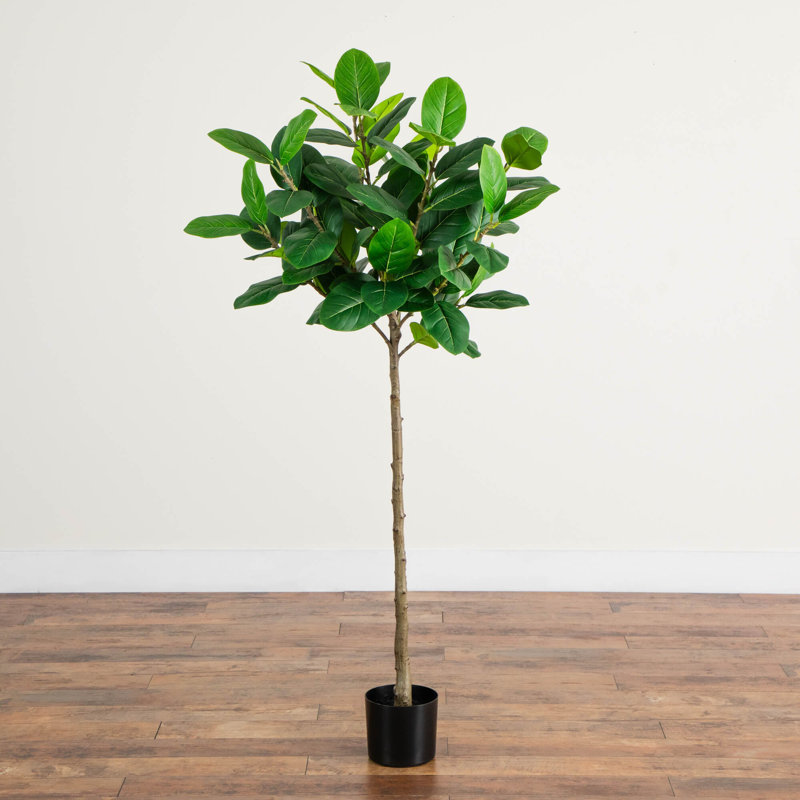 5Ft. Artificial Petite Audrey Ficus Tree
