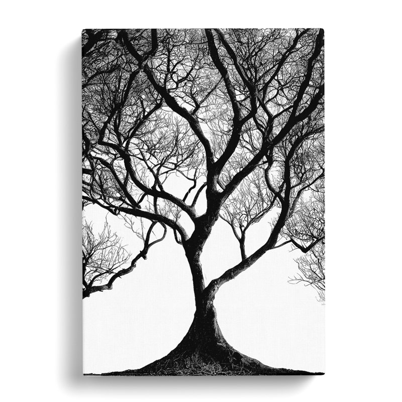 Shadow Of A Tree No.1 - Wrapped Canvas, 50cm H x 35cm W x 3cm D