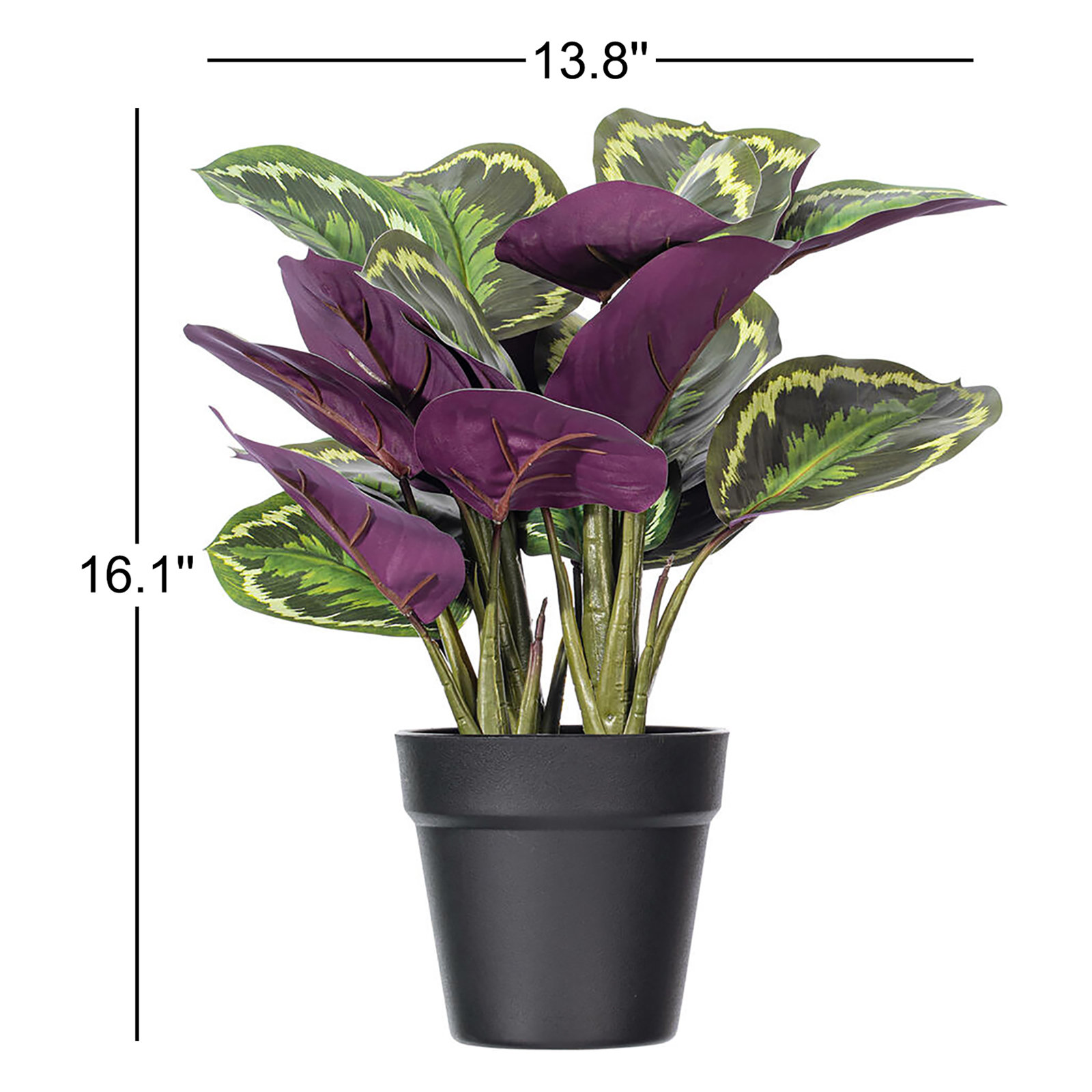 16.1'' Faux Calathea Plant in Pot