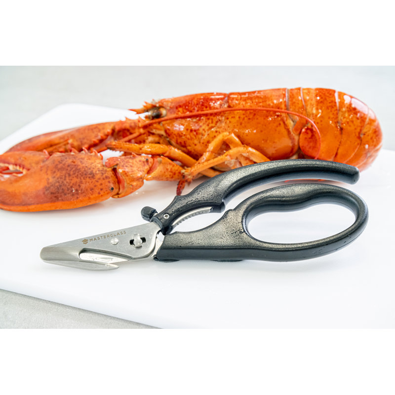 MasterClass Seafood Tool