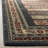 Pennypacker Performance Oriental Rug-1597219972