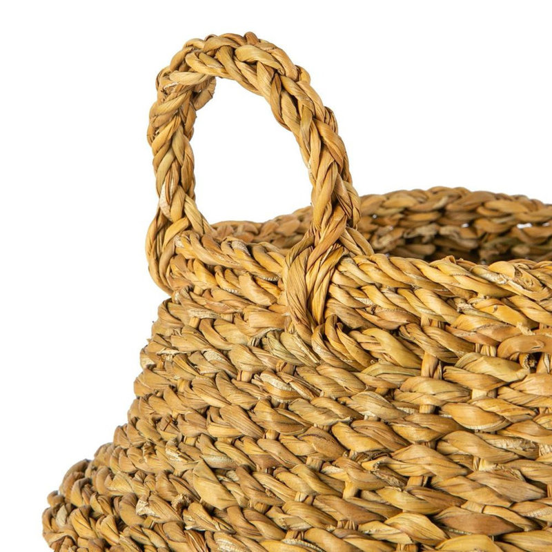 Bay Isle Home Typha Decorative Basket, 28cm H x 20cm W x 20cm D