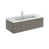 Gray Elm