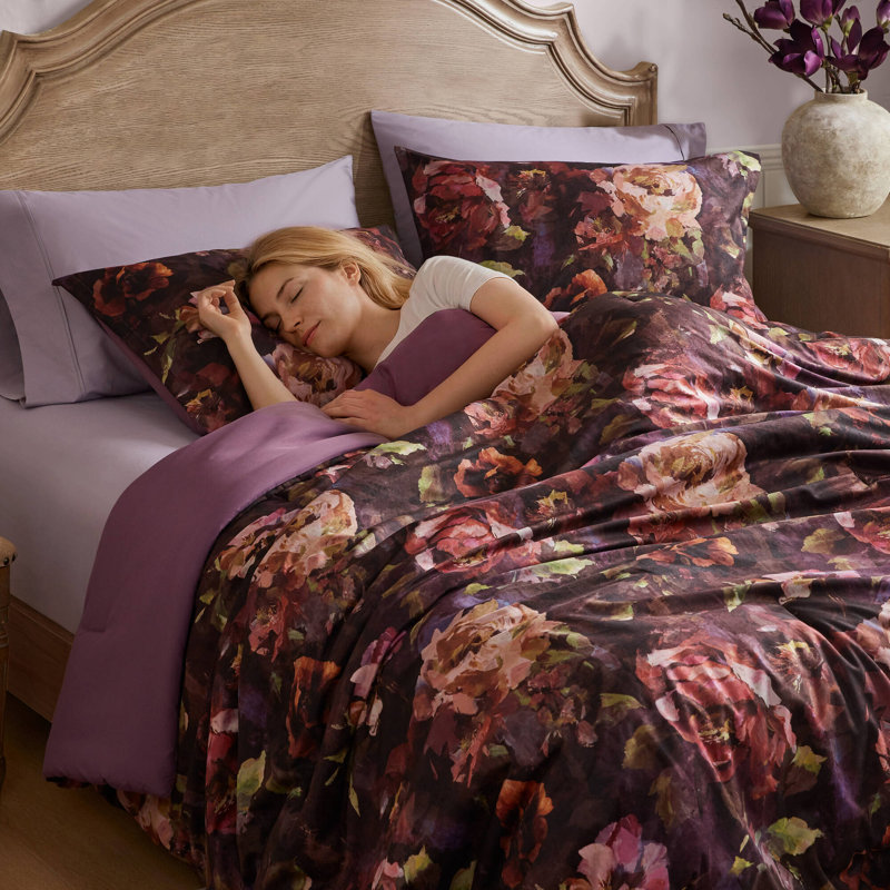 Seraphina 4 Piece Velvet Comforter Set, King Comforter + 3 Additional Pieces