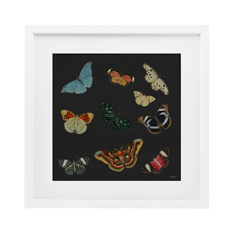 «Insectes Group» sur reproduction encadrée noire sous verre, conception de Dan Meneely, H 13 po x l 13 po, Cadre blanc côtier