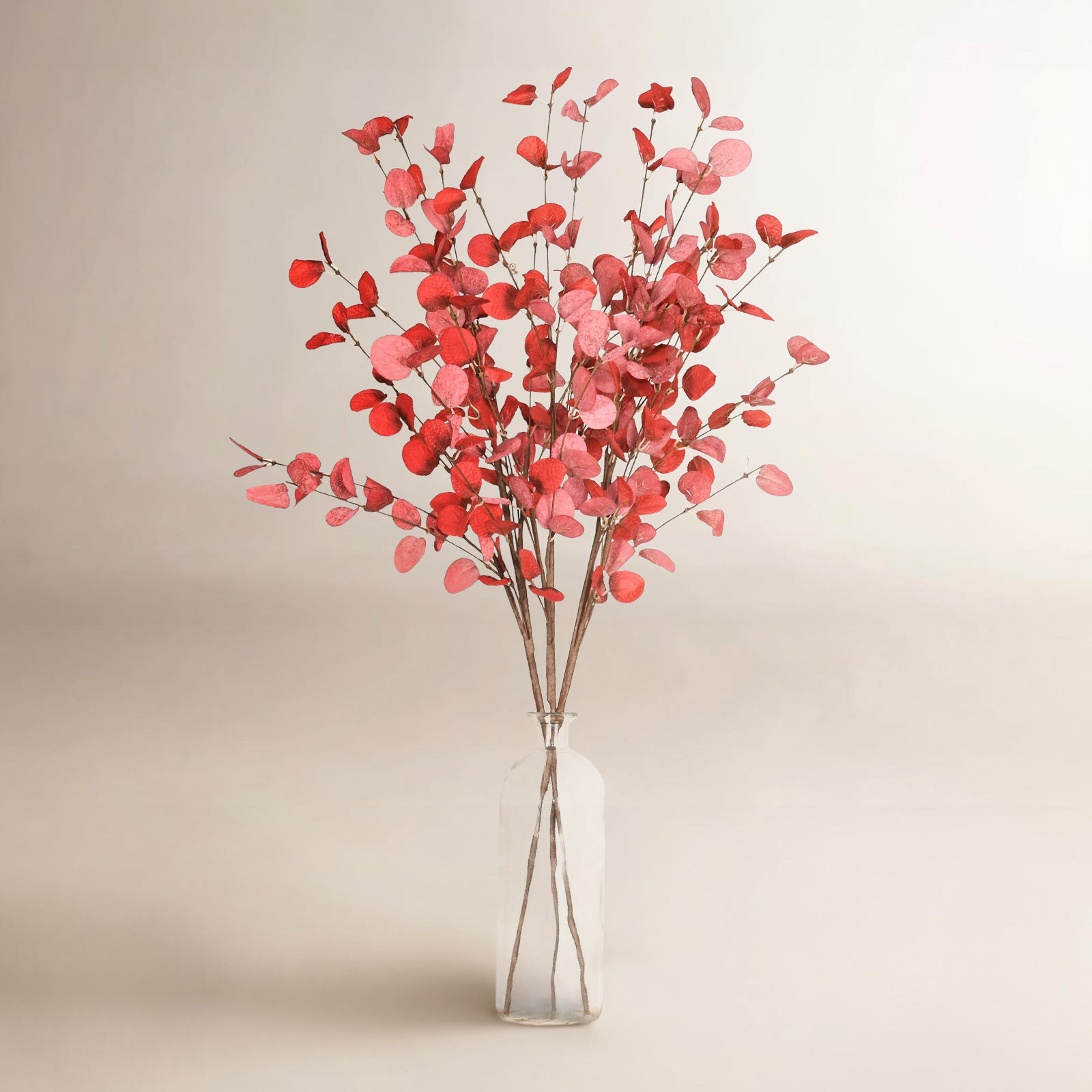 Eucalyptus Floral Stems, Red