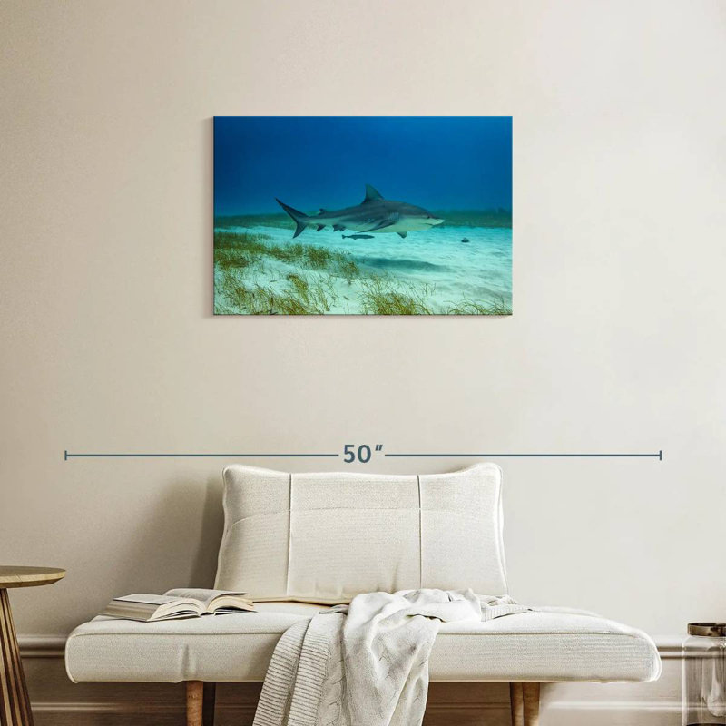 Brampt Bull Shark Habitat, 20" H x 30" W