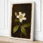 Pale Bloom Study Botanical - Wrapped Canvas-439920451-439920460