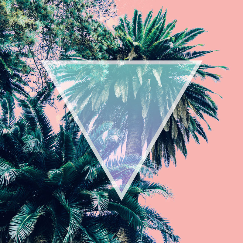 Palm Trees - Wrapped Canvas Print, 122cm H x 122cm W x 3.8cm D