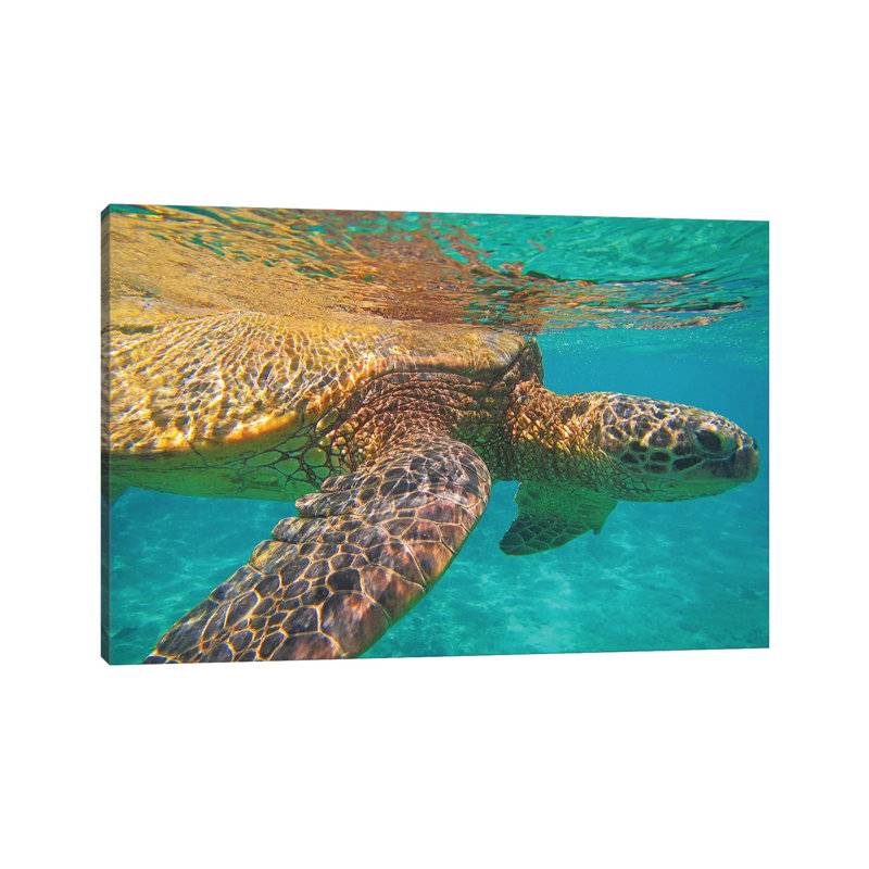 Under The Surface by Brian Wolf - Wrapped Canvas Gallery-Wrapped Canvas Giclée, 45.72cm H x 66.04cm W