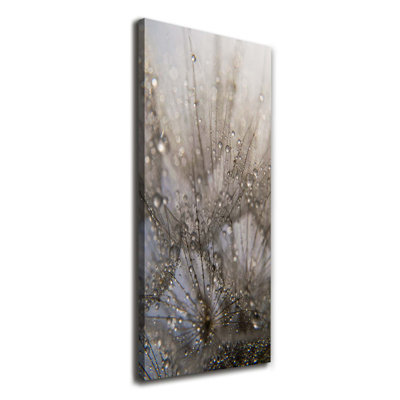 Dandelion Seeds - Wrapped Canvas Print
