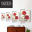 Impression encadrée Hibiscus Glow I-Premium - prête à être accrochée - aucun clou requis - aucun clou requis-79402837-79402838