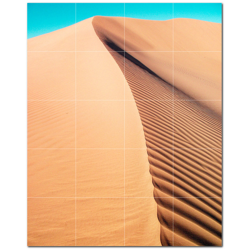 Photo du désert 12 x 12