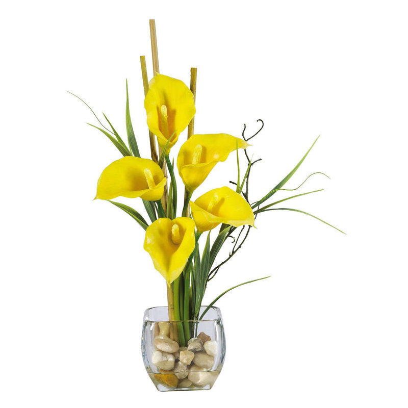 Calla lis illusion liquide avec crème cube, Jaune