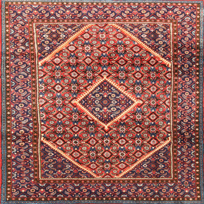 Oriental Indoor Rug