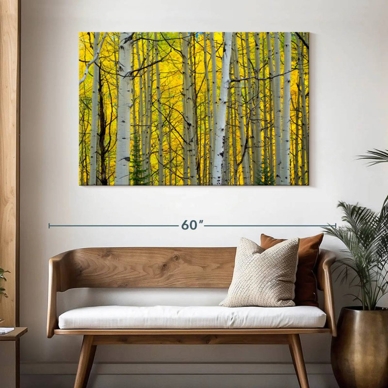 Bouleaux Alvord, forêt, automne, H 32 po x l 48 po