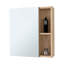 Lincoln Mirrored Medicine Cabinet, Five Interior Shelves-621879285