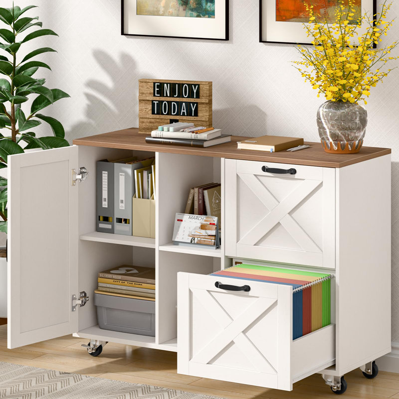 Lateral File Cabinet With 2 Drawers And Door