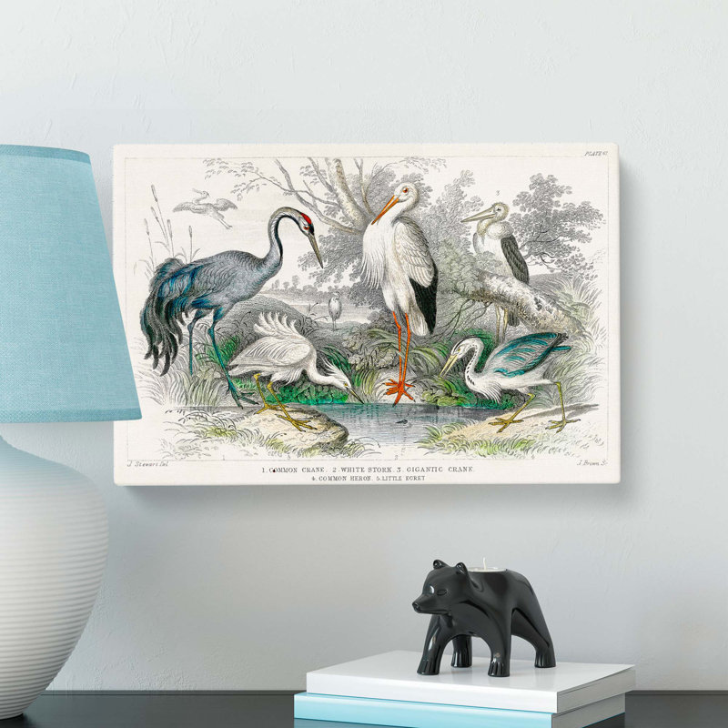 Crane, Stork, Egret & Heron by Oliver Goldsmith - Wrapped Canvas Painting, 40cm H x 60cm W x 3cm D